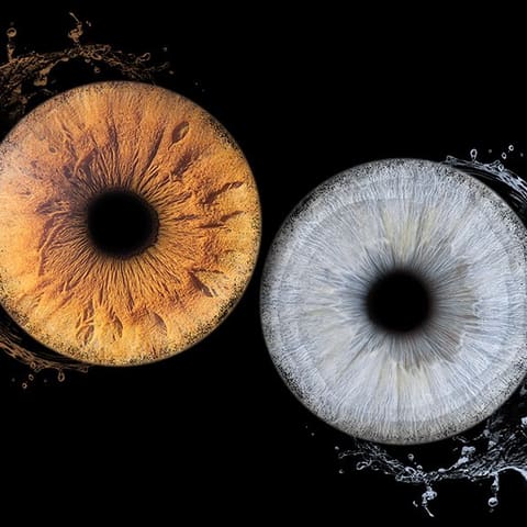 Deux yeux en noir et blanc, regard frontal