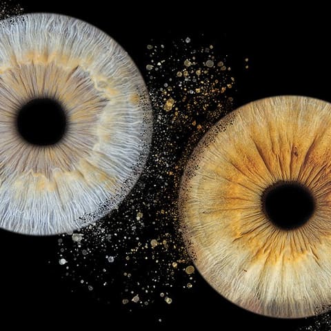Iris brun sombre, sourcil et frange au-dessus
